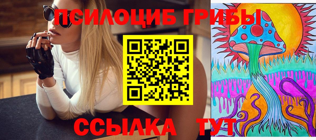 Верхняя Салда  Псилоцибиновые грибы мицелий  закладка  Галлюциногенные грибы MAGIC MUSHROOMS  Вход с VPN 